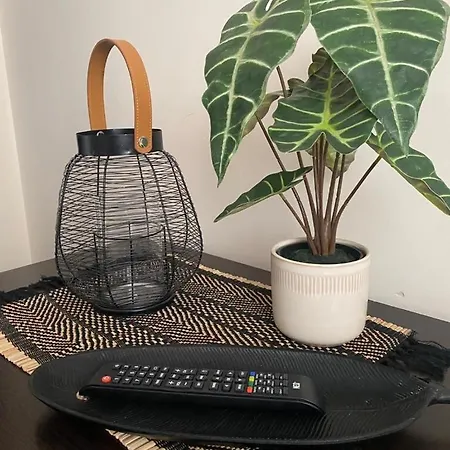 דירה Comfortable And Affordable Big *