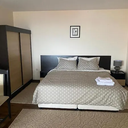 Comfortable And Affordable Big דירה בנסקו