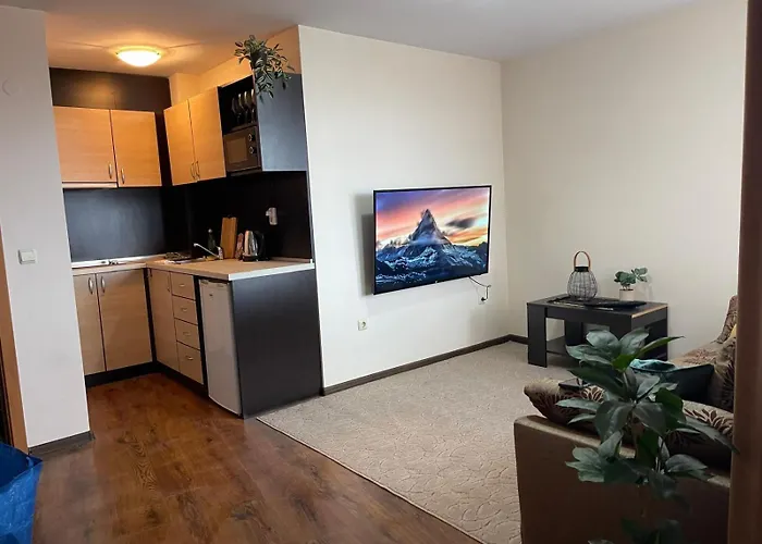 Comfortable And Affordable Big *