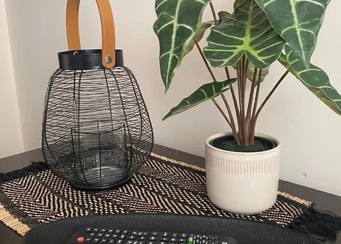 Appartement Comfortable And Affordable Big *